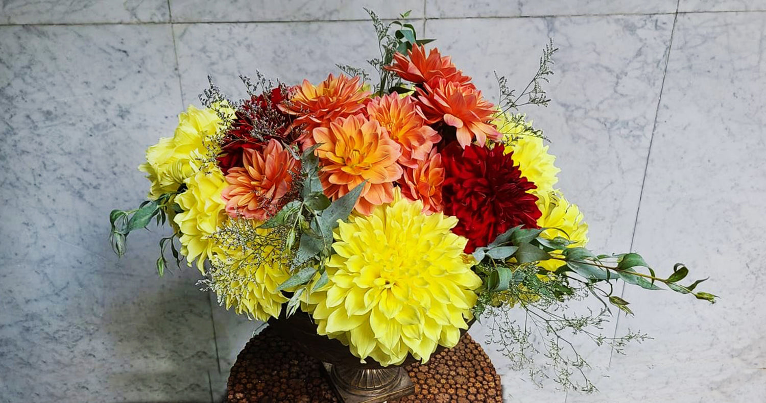 Flor especial de nuestros invernaderos para usted